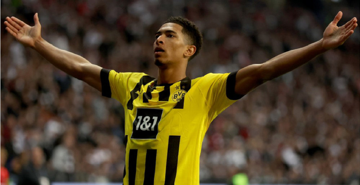 种触手可及 种触手可及