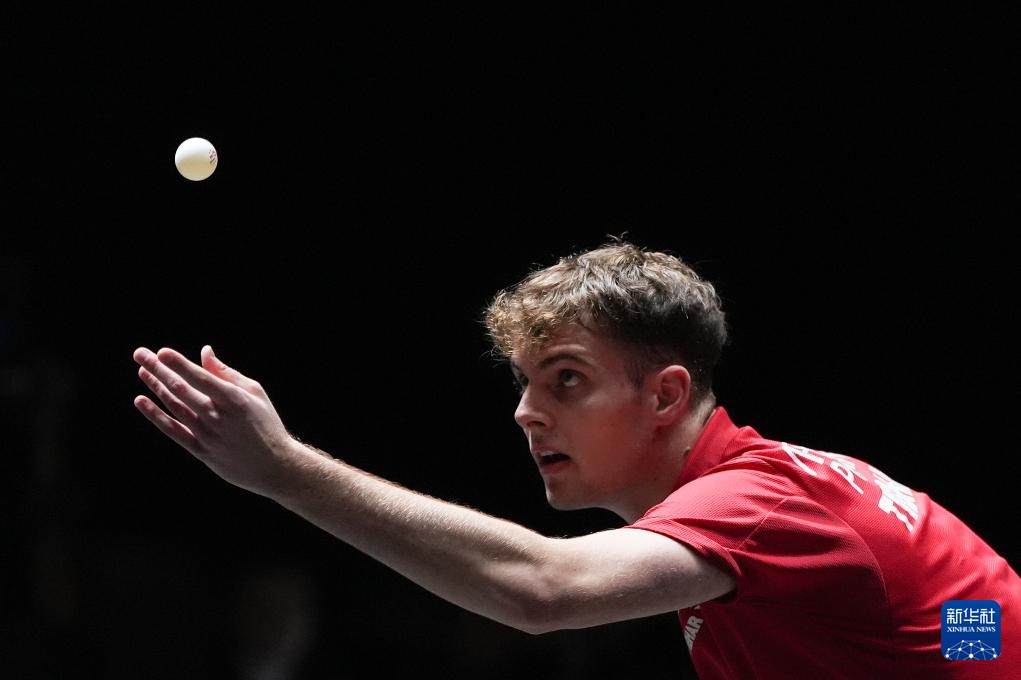 帕拉迪诺仍 帕拉迪诺仍